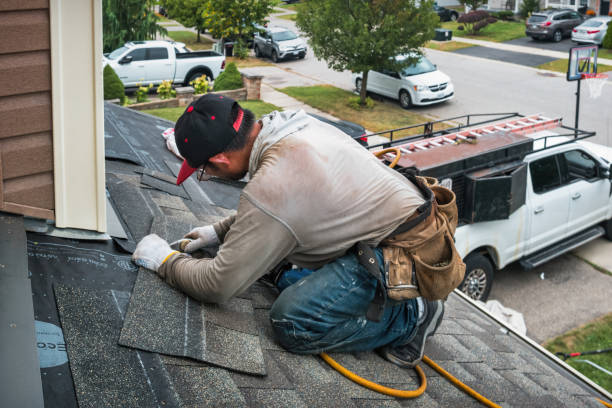 Professional Gutter Repair And Installation technician working in Freeman, MO